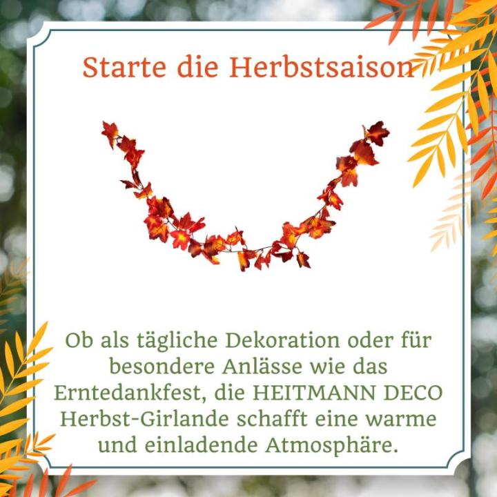 Brauns Heitmann Slinger