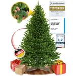 Kunstkerstboom [100% spuitgiet] - natuurgetrouwe dennenboom met stabiele punt | Premium Nordmann-spar incl. FSC-gecertificeerde houten standaard en scheurbestendige tas (zonder ver