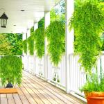 Kunsthangplanten, 4 stuks, hangende Boston varen, plastic planten, uv-bestendig, nepplanten, groene planten voor buiten, binnen, balkon, tuin, kamerdecoratie