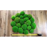 Hello Moss Geconserveerd mos 5/8/20 stuks - Mos geconserveerd - Kogelmos geconserveerd voor uw huis - Maak een mosafbeelding - Geschikt als mos voor terraria en bossen in glas