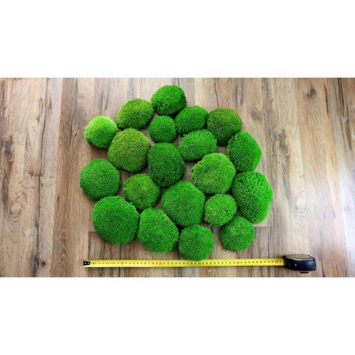 Hello Moss Geconserveerd mos 5/8/20 stuks - Mos geconserveerd - Kogelmos geconserveerd voor uw huis - Maak een mosafbeelding - Geschikt als mos voor terraria en bossen in glas