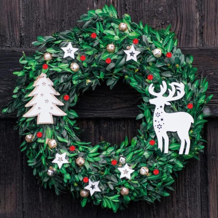 300 x strooidecoratie, decoratieve takken met bessen, decoratieve takken om te strooien als knutselbenodigdheden, verfraait geschenken en potpourris (300 stuks, rode bessen)