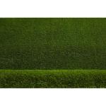 Kunstgras ETILE, kant en klaar maat 200x350 cm groen