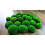 Hello Moss Geconserveerd mos 5/8/20 stuks - Mos geconserveerd - Kogelmos geconserveerd voor uw huis - Maak een mosafbeelding - Geschikt als mos voor terraria en bossen in glas