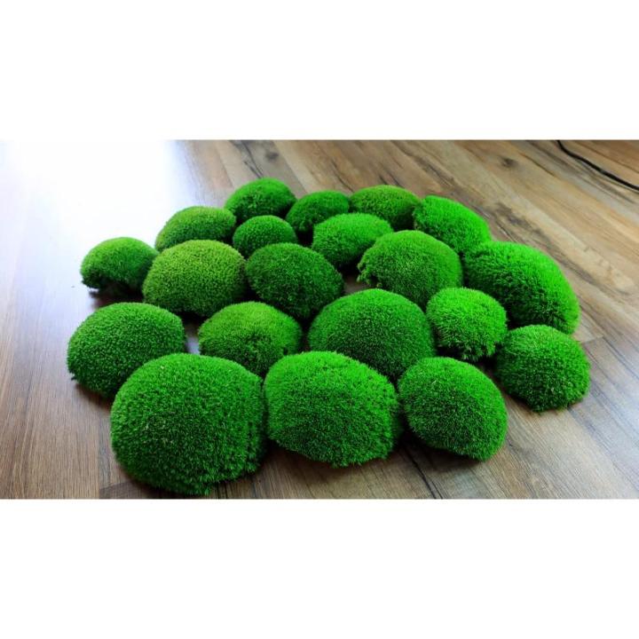 Hello Moss Geconserveerd mos 5/8/20 stuks - Mos geconserveerd - Kogelmos geconserveerd voor uw huis - Maak een mosafbeelding - Geschikt als mos voor terraria en bossen in glas