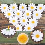100 stuks gerbera-hoofden, kunstmatige madeliefjes, , decoratieve zijden plant voor huis, tuin, kantoor, decoratie, feest, bruiloft, boeket, wit