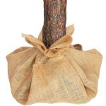 Kerstboom met natuurstam, 220 cm, natuurgetrouwe dichte takken, boomstandaard en jute stof, kunstdennenboom, gemaakt in de EU
