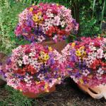 9 bundels zoals echt balkon, , weerbestendig, kunstplanten, buiten, uv-bestendig, balkonbloemen voor balkon, decoratie, tuin, outdoor