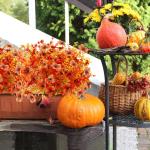 6 bundels kunstherfstboeket, herfstdecoratie, , eucalyptus, herfstdecoratie, en herfsttakken voor binnen en buiten, tafel, balkonbak, bloembak