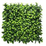 Plantenwand, , wandplanten, 50 x 50 cm, decoratie voor muur/balkon/tuin, Gardenia