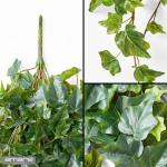 Set van 2 ENGL. klimopslinger, 244 bladeren, 100 cm, groen
