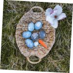 4 Sätze Künstliche Karotte Gemüse-Foto-Requisite Ostern Spielen Karotte Möhren Mini-Karotten Kinderknallzeug Mockin Frühlingsdeko Karottendekor Karotten Basteln Schaum 30 Stü