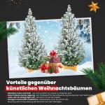- Echte kerstboom - kerstboom - kerstboom in rode pot - mini-kerstboom - dennengeur - kleine kerstboom (met sneeuw, 110-120 cm)