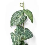 Set van 2 Anthuria-bladslinger, 110 cm, groen-wit