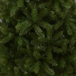 National Tree Bedrijf Kunstmatige Slanke Kerstboom, Groen, Kingswood Spar, Inclusief Stand, 6.5 Voet