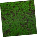 3st Künstliches Künstliches Moos Dekorativer Rasen Landschaftsdekor Landschaftsgestaltung Dekorative Requisite Gefälschte Grasmatte Glasflasche Chemische Faser Kunstrasen