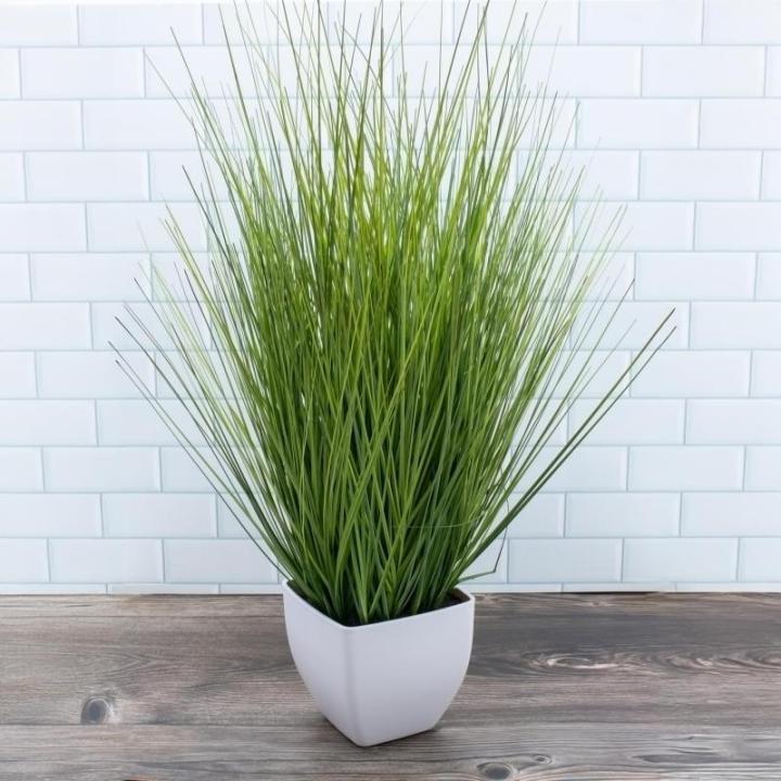 Isolepsis Kunstplant met witte bloempot, kunstplant, kamerplant, decoratieve plant, kunstbloemen, 60 cm, kunstplant