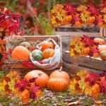 4 stuks kunstmatige esdoornbladeren, herfstbladeren, , herfstesdoornbladeren, takken, kunstmatige esdoornbladeren, herfstbladeren, voor binnen en buiten (herfst)