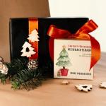 Nordmann Kerstboomkweekset als vulling voor adventskalender, mini-cadeau als idee voor de adventskalender voor vrouwen en mannen, Nordmann-dennenboom om zelf te planten