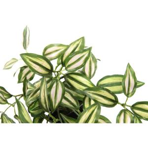 Tradescantia Kunsthanger met pot, set van 2 , Tradescantia, hangende decoratie, hangplant, slinger, plantenhanger, lichtslinger, groene plant, kamerplant, klimop, klimop, klimop, k
