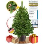 Kunstkerstboom 60 cm, in pot met led en sneeuw, kerstboom voor binnen en buiten, kunstboom voor kerstdecoratie, realistische look