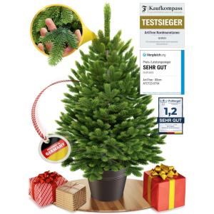 Kunstkerstboom in pot, kerstboom voor binnen en buiten, kunstboom voor kerstdecoratie, realistische look (80 cm, zonder verlichting)