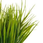 6 Pak Artificieel Plastic Tarwegras Planten – Realistisch Nep Binnen/Buiten Groene Bosjes Voor Huis, Kantoor, Tuin & Keuken – Hangbosjes Voor Huwelijk, Tafel Decor en Veranda