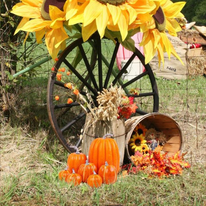 7 Stück Kürbisse, Thanksgiving-Kürbis-Dekorationen, Verschiedene Größen, künstliche Schaumstoff-Ernte-Herbst-Dekoration, künstliche Kürbisse, Dekorationen für den Innenber