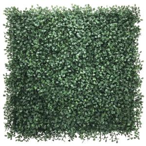 Plantenwand, , wandplanten, 50 x 50 cm, decoratie voor muur/balkon/tuin, donkergroen