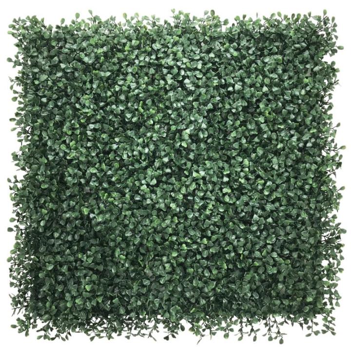 Plantenwand, , wandplanten, 50 x 50 cm, decoratie voor muur/balkon/tuin, donkergroen