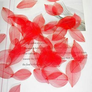 50 stuks kunstbladeren, decoratie, kunstbladeren, slinger, knutselen, droge bladeren, gedroogde bladeren, gebruikt voor doe-het-zelf handwerk, scrapbook, kaarten maken (rood)