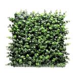 Plantenwand, , wandplanten, 50 x 50 cm, decoratie voor muur/balkon/tuin, eucalyptus, 50 x 50 cm