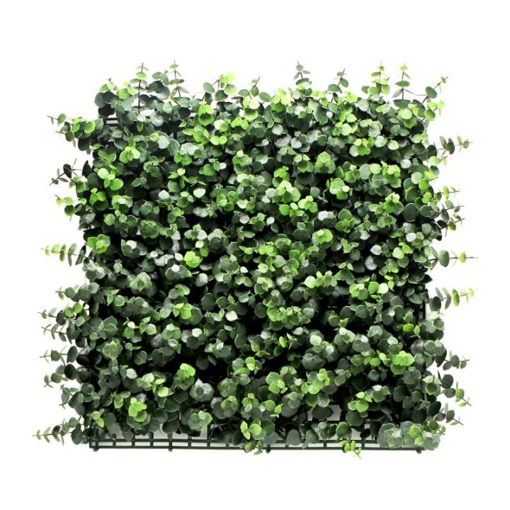 Plantenwand, , wandplanten, 50 x 50 cm, decoratie voor muur/balkon/tuin, eucalyptus, 50 x 50 cm