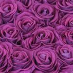 Rozenbox hart, 18 rozen, stabiele bloemenbox, wit, 10 jaar houdbaar, cadeau-idee, decoratieve bloemenbox, paars