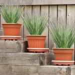 8 stuks , grasbundels, groen, grasplant, siergras, kunstgras, takken, grassenboeketten, decoratief gras voor thuis, tuin, balkon, buiten, binnen, grasrangement (groen, 8)