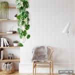 Set van 2 Split Philodendron-slinger, 104 cm, groen