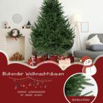 Künstlicher Weihnachtsbaum Christbaum, Tannenbaum mit Metallstand, automatisch, Premium PE, 210cm mit 960 Spitzen, Weihnachtsdeko Geschenk für Frau, Kinder, Familie
