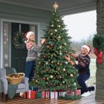 Nordmann Kunstkerstboom, pvc en PE, 210 cm, kunstdennenboom met houten standaard, verlichting led, vlamvertragend, automatische kerstboom, natuurgetrouwe kunstkerstboom