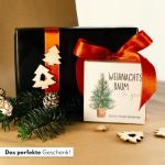 Kerstboom cadeauset - dennenboom in doos kweekset met kokostablet en cellulose pot - 8-10 zaden voor 5 dennenbomen kerstboom kweekset als adventskalender vulling
