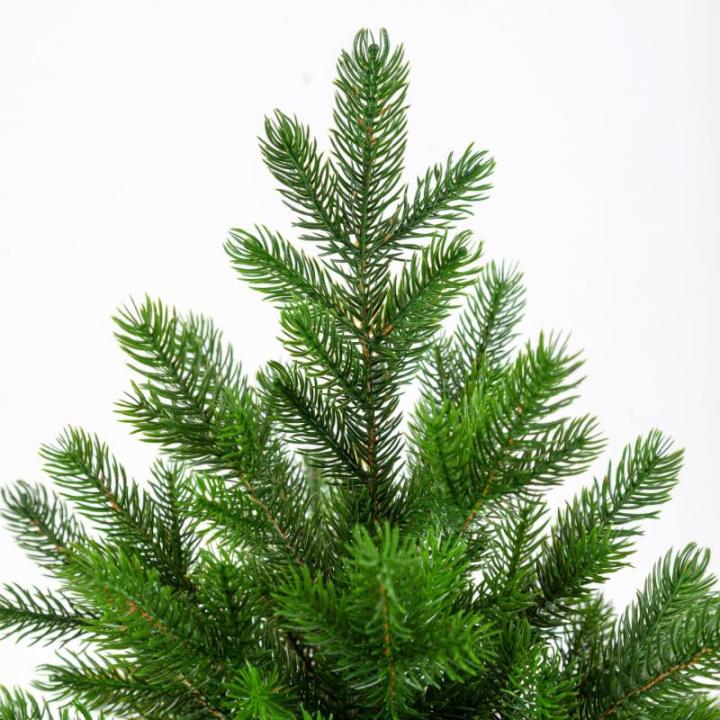 - Altair - 95 cm - hoogwaardige kunstkerstboom - eenvoudig te monteren prachtige boompunten van 100% PE - zeer natuurlijk uitziende boom