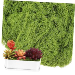 dekoratives Moos Rentier Moos Weihnachtsmoos Moos für Pflanzen Terrarienmoos Moos für den Garten Moos für DIY-Projekte Moosdekor Künstliches Moos Seidenzahnseide Light Green