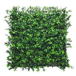 Plantenwand, , wandplanten, 50 x 50 cm, decoratie voor muur/balkon/tuin, boxwood