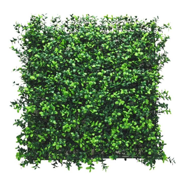 Plantenwand, , wandplanten, 50 x 50 cm, decoratie voor muur/balkon/tuin, boxwood