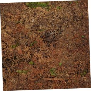 Kunstrasen kunstgras kunstgräser rasenteppich Gras deko künstlich Kunst Gras Sandtisch-Rasenmodell Sandtisch-Rasenmatte gefälschter Rasen Rasenmatte für Sandtisch Perlenbaumwol