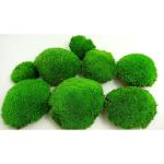 Hello Moss geconserveerd mos 8 stuks - mosdecoratie voor jou - kogelmos geconserveerd voor je huis - maak een mosafbeelding - geschikt als mos voor terraria en bossen in glas
