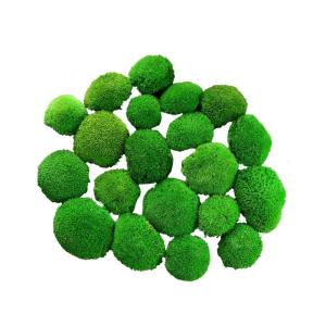 Hello Moss Geconserveerd mos 5/8/20 stuks - Mos geconserveerd - Kogelmos geconserveerd voor uw huis - Maak een mosafbeelding - Geschikt als mos voor terraria en bossen in glas