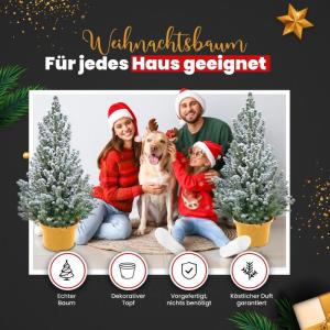 - Echte kerstboom - kerstboom - kerstboom in rode pot - mini-kerstboom - dennengeur - kleine kerstboom (met sneeuw, 110-120 cm)