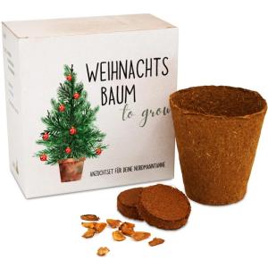 Kerstboom cadeauset - dennenboom in doos kweekset met kokostablet en cellulose pot - 8-10 zaden voor 5 dennenbomen kerstboom kweekset als adventskalender vulling