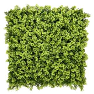 Plantenwand, voor wandmontage, 50 x 50 cm, wandtuin, , decoratie voor muur, balkon en tuin (Houttuynia-cordata)