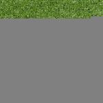 Pure Green Grastapijt kunstgras, groen, hoogte: 6 mm, per meter, kunstgrastapijt weerbestendig, sneldrogend, outdoor, balkon, terras, tuin, 250 x 720 cm